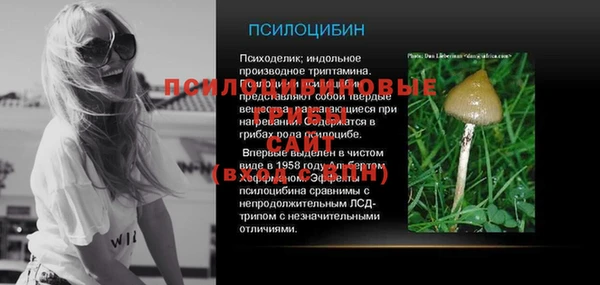 jwh Алзамай
