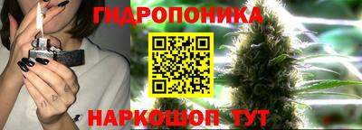 сатива Татарск