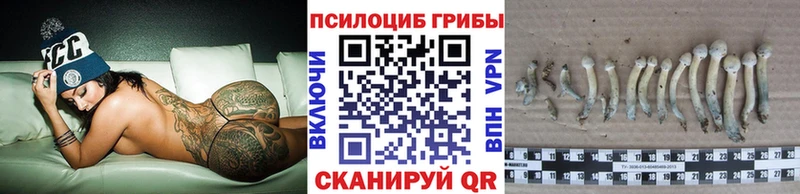 магазин продажи наркотиков  Санкт-Петербург  Псилоцибиновые грибы MAGIC MUSHROOMS 