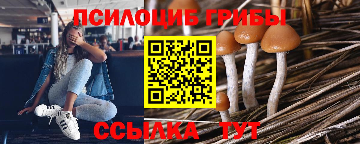 ГАШ  Вейп ТГК  Санкт-Петербург  COCAIN  Вход с VPN  Мефедрон   Конопля  ГАШ 