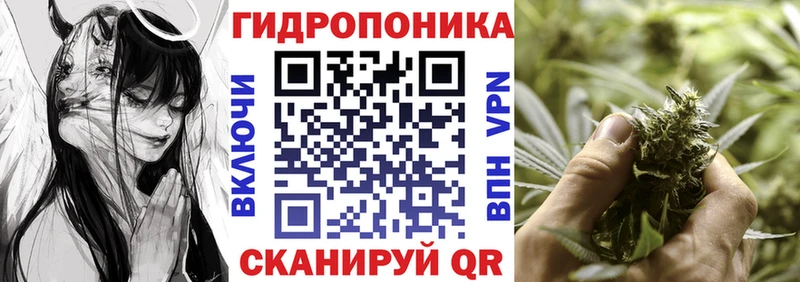 Бошки Шишки сатива  hydra ТОР  Санкт-Петербург 